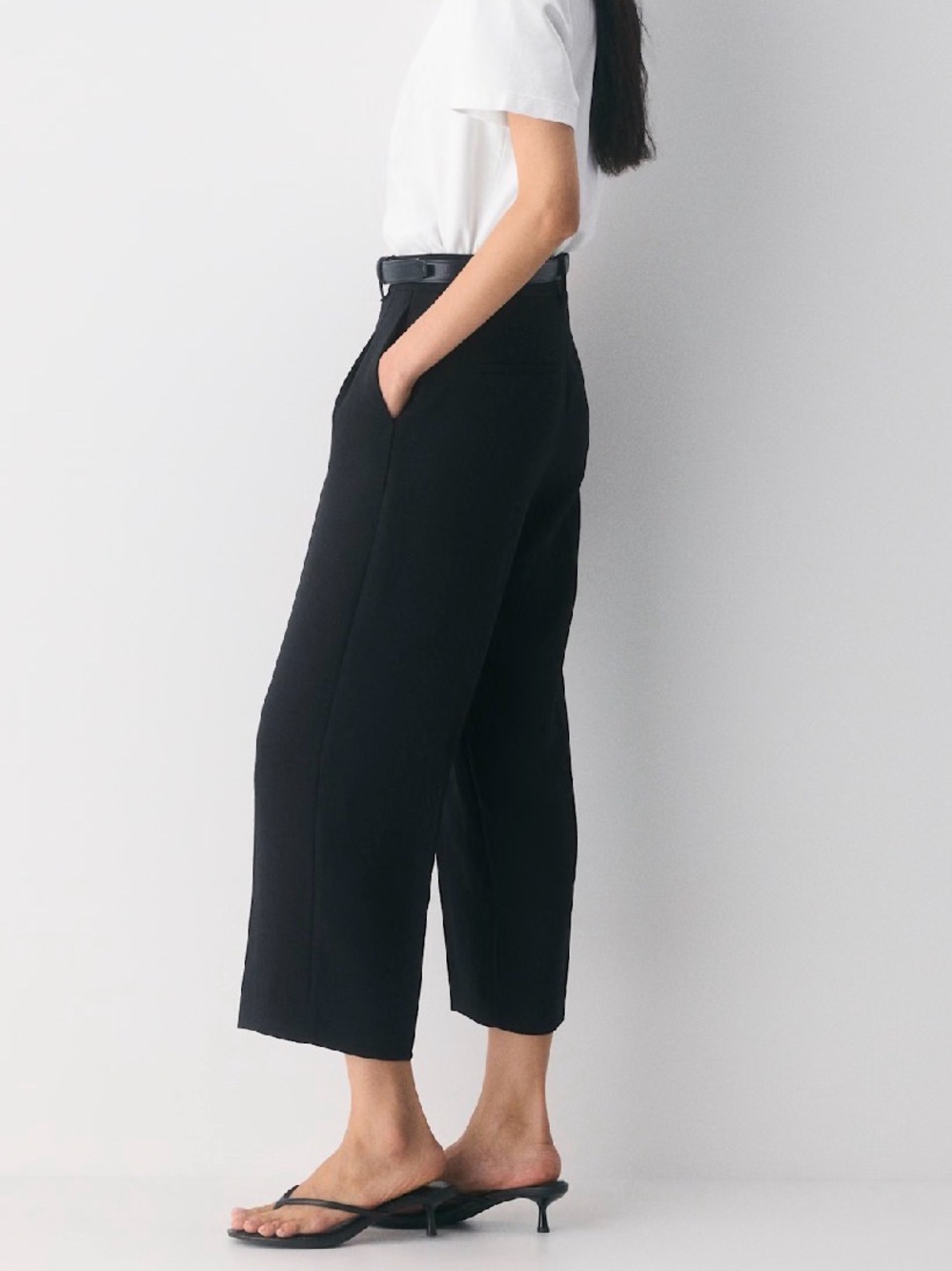 Aritzia Wilfred Black Cropped Tailored Pleat Pants - Picture 2 of 5